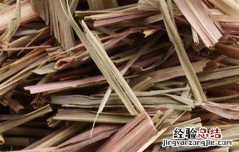 香茅的功效与作用 香茅草的功效与作用及食用方法