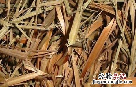 香茅的功效与作用 香茅草的功效与作用及食用方法