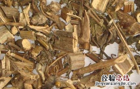 豨莶草的功效与作用 豨莶草的功效与作用的功效和作用是什么