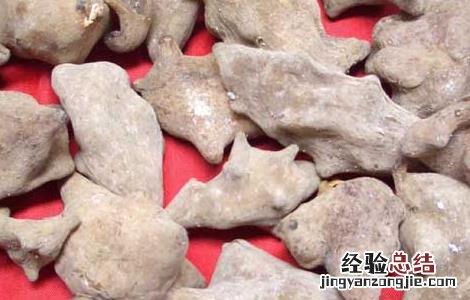 五倍子的功效与作用图片 五倍子的功效与作用
