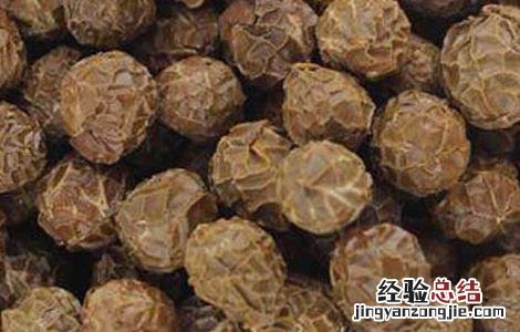 梧桐子的功效和作用 梧桐子的功效和作用图片