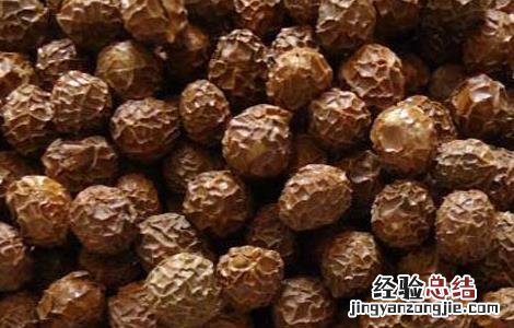 梧桐子的功效和作用 梧桐子的功效和作用图片