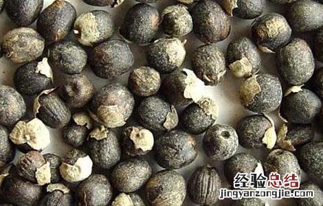 芜菁子的功效与作用 芜菁的功效和作用