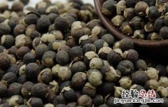 芜菁子的功效与作用 芜菁的功效和作用