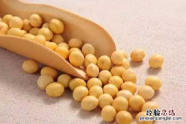 黄豆开花后多少天结果,生长周期需要多长时间
