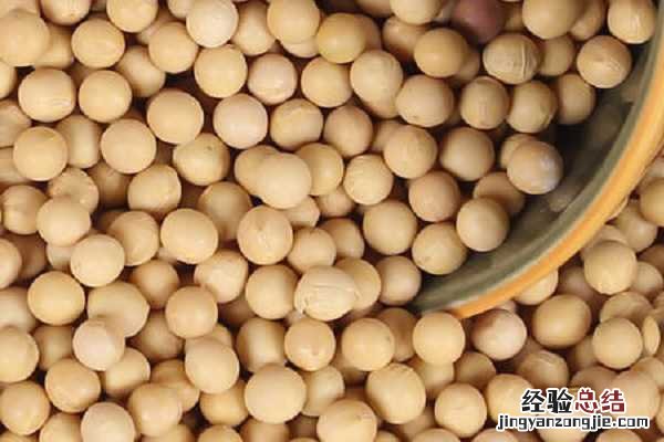 刚播黄豆种就下雨行不行，会不会影响种子发芽