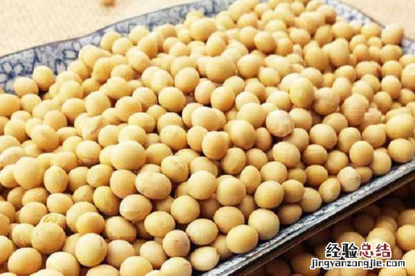 刚播黄豆种就下雨行不行，会不会影响种子发芽