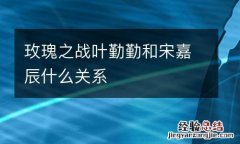 玫瑰之战叶勤勤和宋嘉辰什么关系