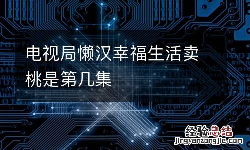 电视局懒汉幸福生活卖桃是第几集
