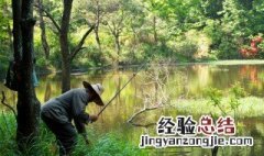很浅水怎么钓鲫鱼 了解一下
