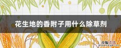 花生地的香附子用什么除草剂 花生田香附子用什么除草剂