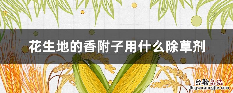 花生地的香附子用什么除草剂 花生田香附子用什么除草剂
