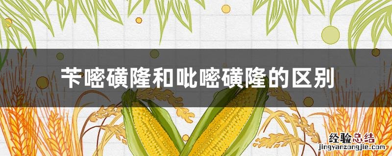 苄嘧磺隆和吡嘧磺隆的区别 吡嘧磺隆的作用