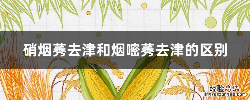 硝烟莠去津和烟嘧莠去津的区别 硝烟嘧.莠去津优缺点