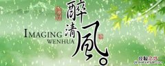 浮生醉清风下句是什么 浮生醉清风是什么意思