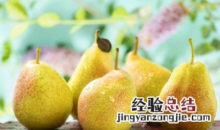 梨和绿茶叶能一起熬汤喝吗 梨和绿茶叶能一起熬汤喝吗