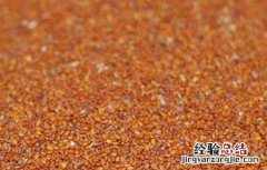葶苈子的功效与作用的功能与主治 葶苈子的功效与作用