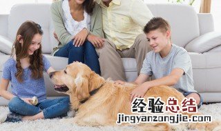 孩子突然不爱上学了怎么办 孩子突然不爱上学了发生了什么