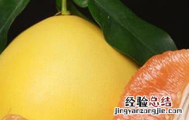水果柚子的功效与作用及禁忌 水果柚子的功效与作用