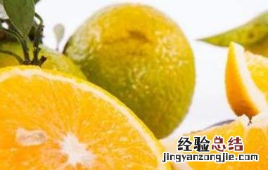 桔柚的营养价值和功效 桔柚有什么营养