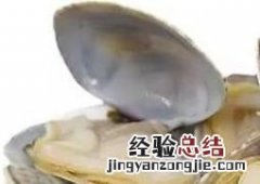 美国红贝的哪些部位不能吃的 美国红贝的哪些部位不能吃