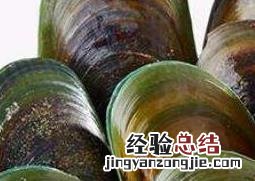 青贝哪些部位是不能吃的呢 青贝哪些部位是不能吃的