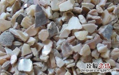 石决明的功效与作用 石决明的功效与作用和副作用