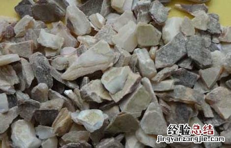 石决明的功效与作用 石决明的功效与作用和副作用
