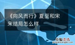 《向风而行》夏至和宋宋结局怎么样