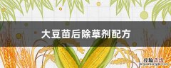 大豆田苗后除草剂最新配方 大豆苗后除草剂配方