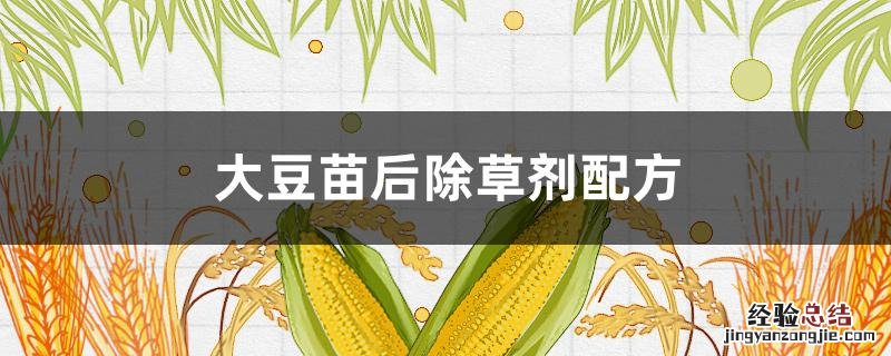 大豆田苗后除草剂最新配方 大豆苗后除草剂配方