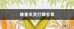 精奎禾灵打哪些草 精喹禾灵打哪些草