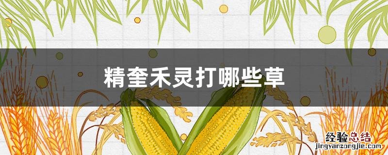 精奎禾灵打哪些草 精喹禾灵打哪些草