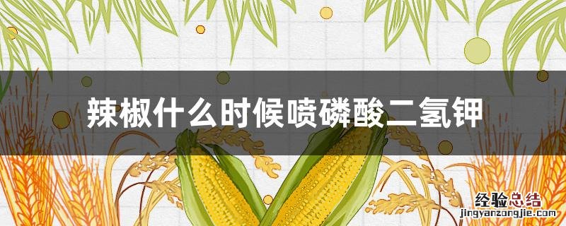 辣椒什么时候喷施磷酸二氢钾 辣椒什么时候喷磷酸二氢钾