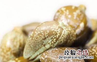 刺山柑的功效与作用 刺山柑的功效与作用禁忌