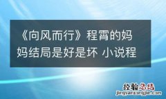 《向风而行》程霄的妈妈结局是好是坏 小说程霄的妈妈得了什么病