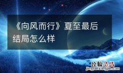 《向风而行》夏至最后结局怎么样