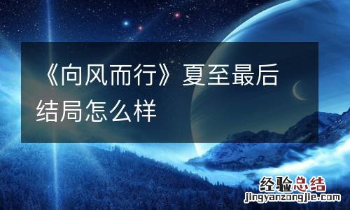 《向风而行》夏至最后结局怎么样
