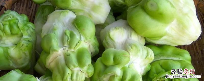 新鲜榨菜怎么吃鼻子不充气 新鲜榨菜怎么吃