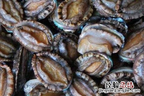 淡水养殖项目有哪些,风险和收益并存