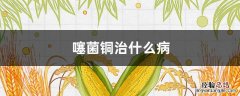 噻菌铜治什么病 噻菌铜的作用和用途