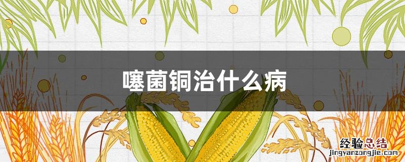 噻菌铜治什么病 噻菌铜的作用和用途