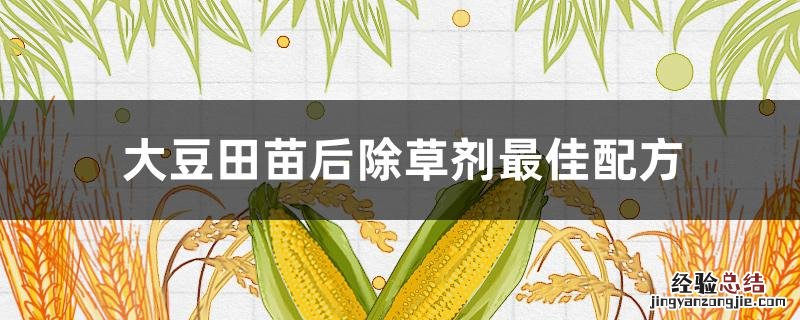 大豆田苗后除草剂最佳配方 大豆田苗后阔叶杂草除草剂