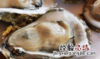 牡蛎如何做 牡蛎的做法
