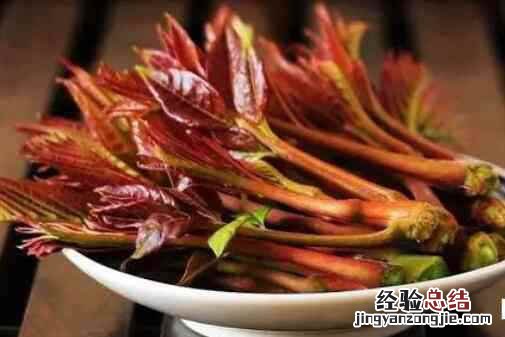 吃香椿有什么好处与作用 吃香椿有什么好处与作用吗