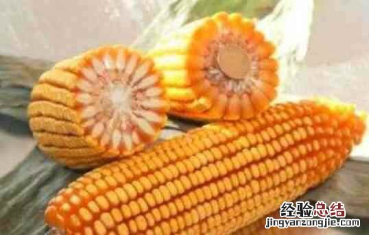 玉米轴的营养成分 玉米轴的功效与作用
