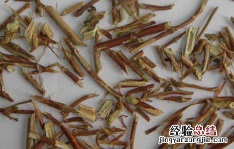 忍冬藤的功效与作用及禁忌症 忍冬藤的功效与作用