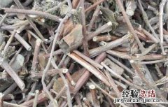 忍冬藤的功效与作用及禁忌症 忍冬藤的功效与作用