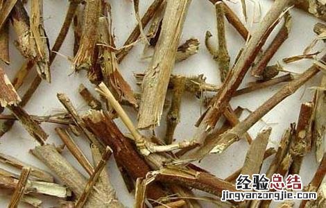 忍冬藤的功效与作用及禁忌症 忍冬藤的功效与作用