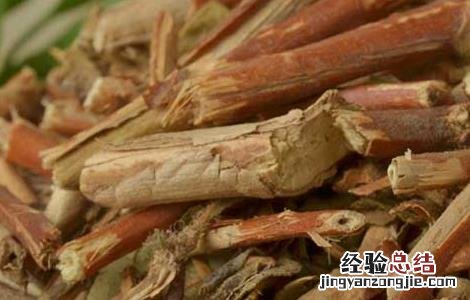 忍冬藤的功效与作用及禁忌症 忍冬藤的功效与作用